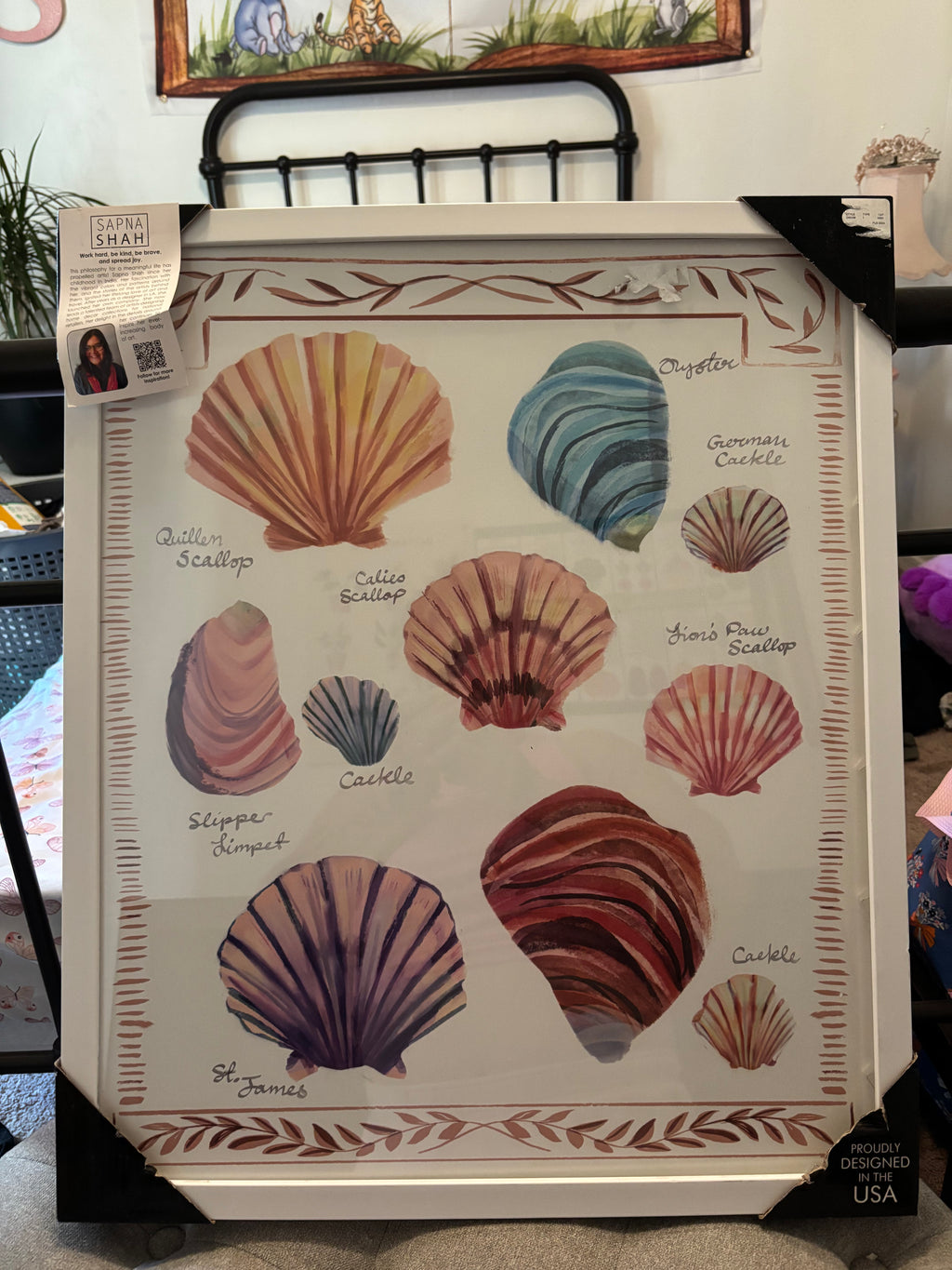 Coastal Seashell Collection Educational Art Print - "Sapna Shah" Design