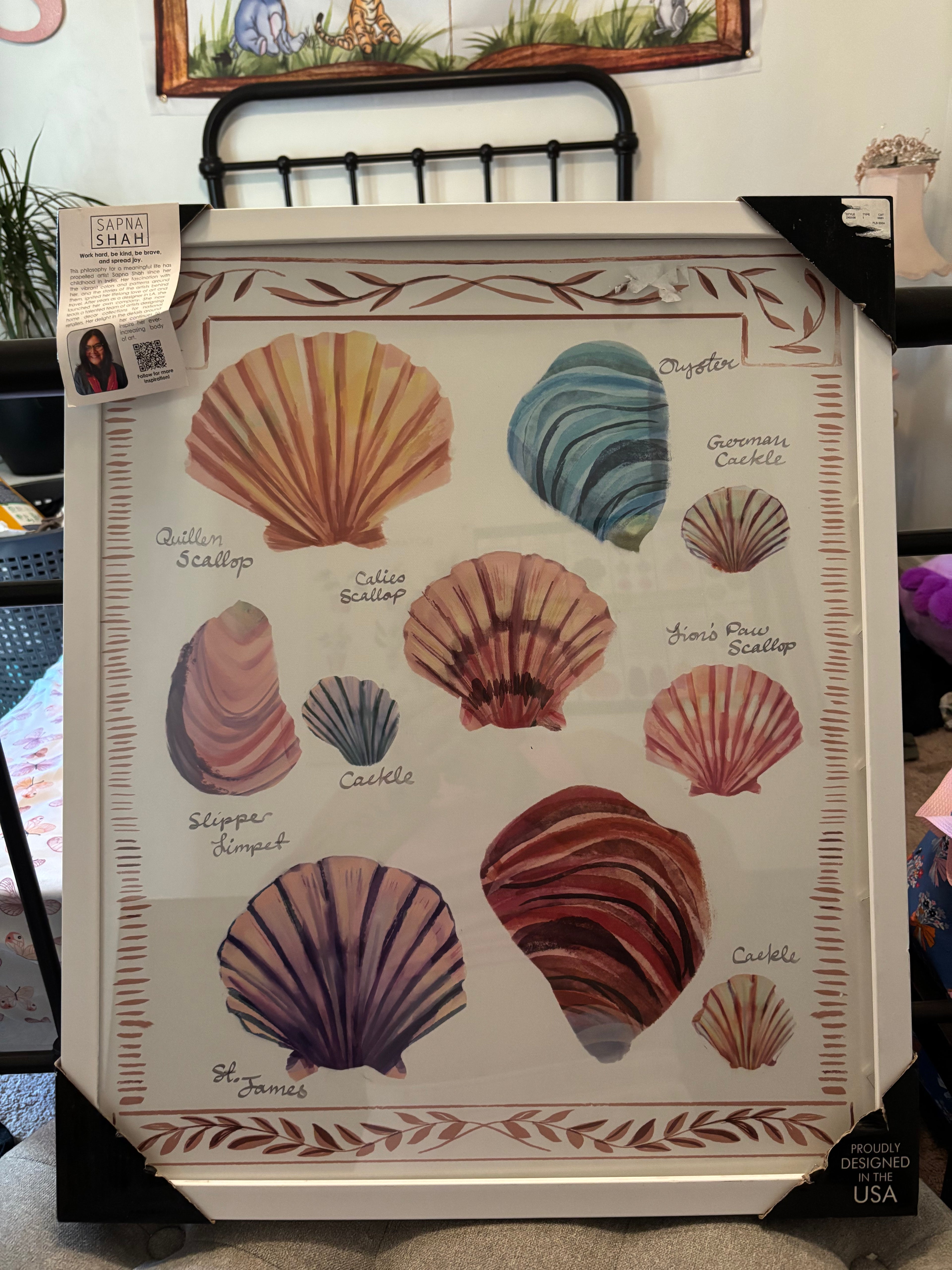 Coastal Seashell Collection Educational Art Print - "Sapna Shah" Design