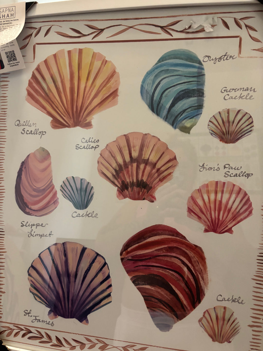 Coastal Seashell Collection Educational Art Print - "Sapna Shah" Design