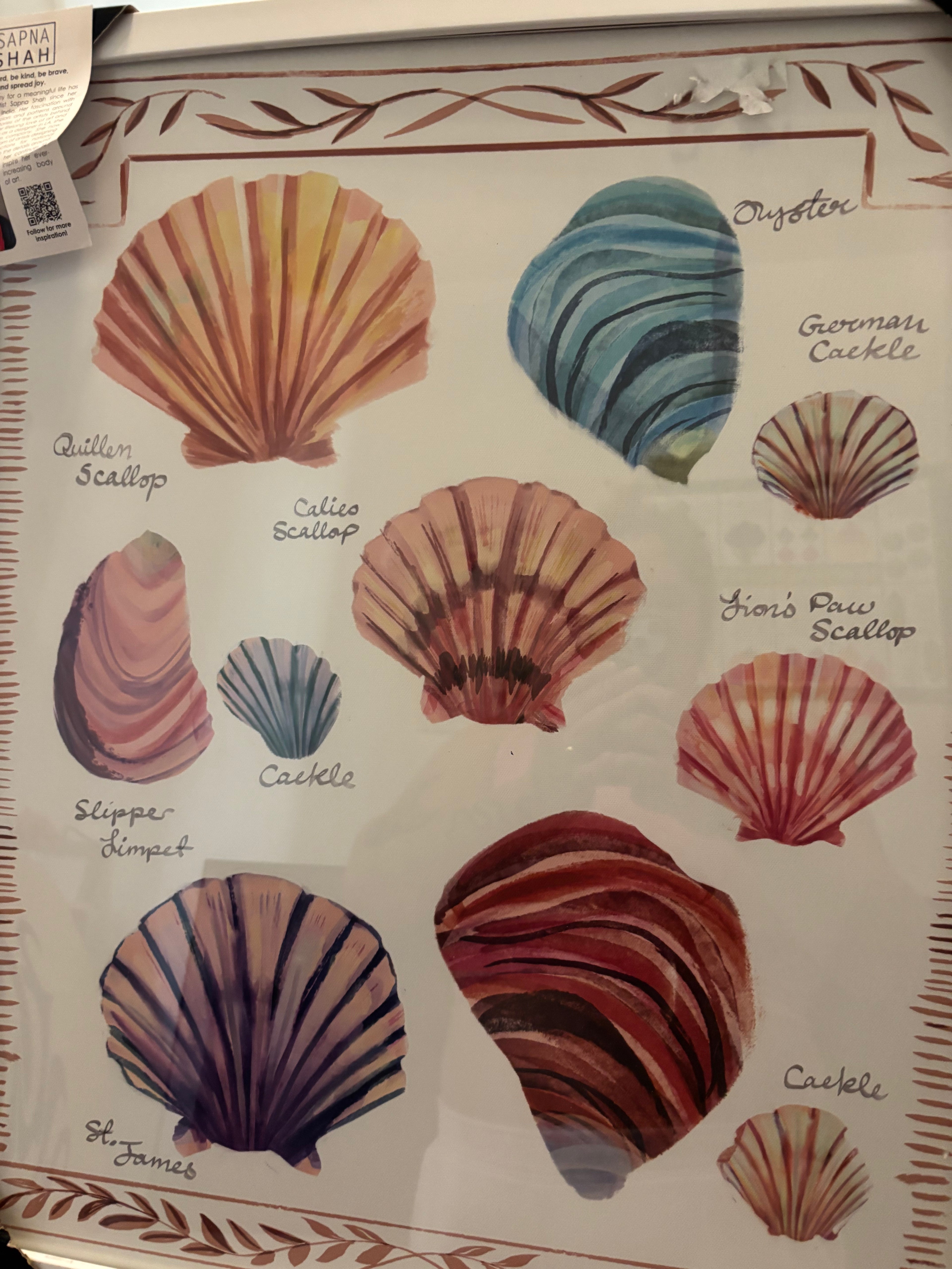 Coastal Seashell Collection Educational Art Print - "Sapna Shah" Design