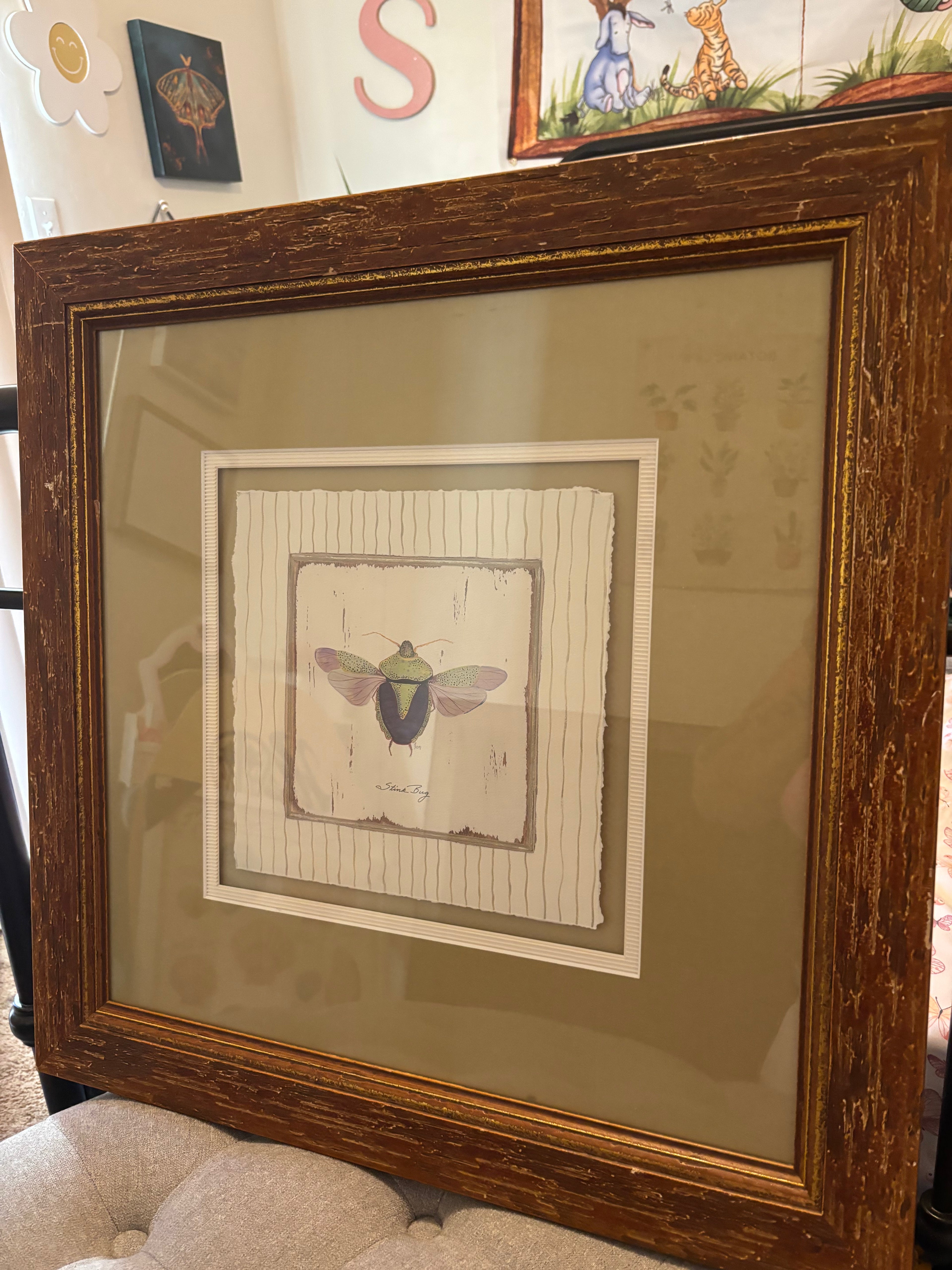 Vintage-Inspired Framed Beetle Artwork