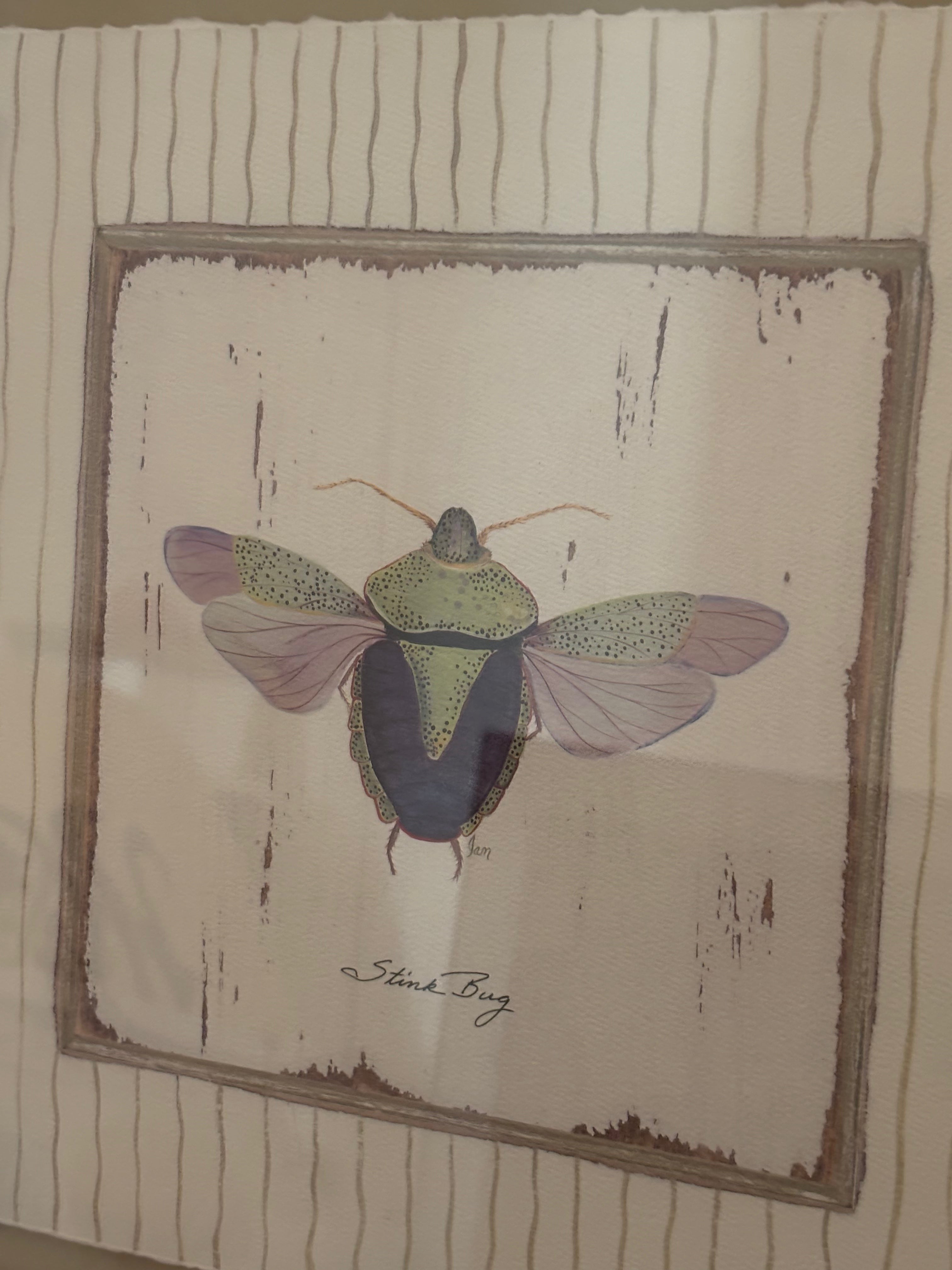 Vintage-Inspired Framed Beetle Artwork