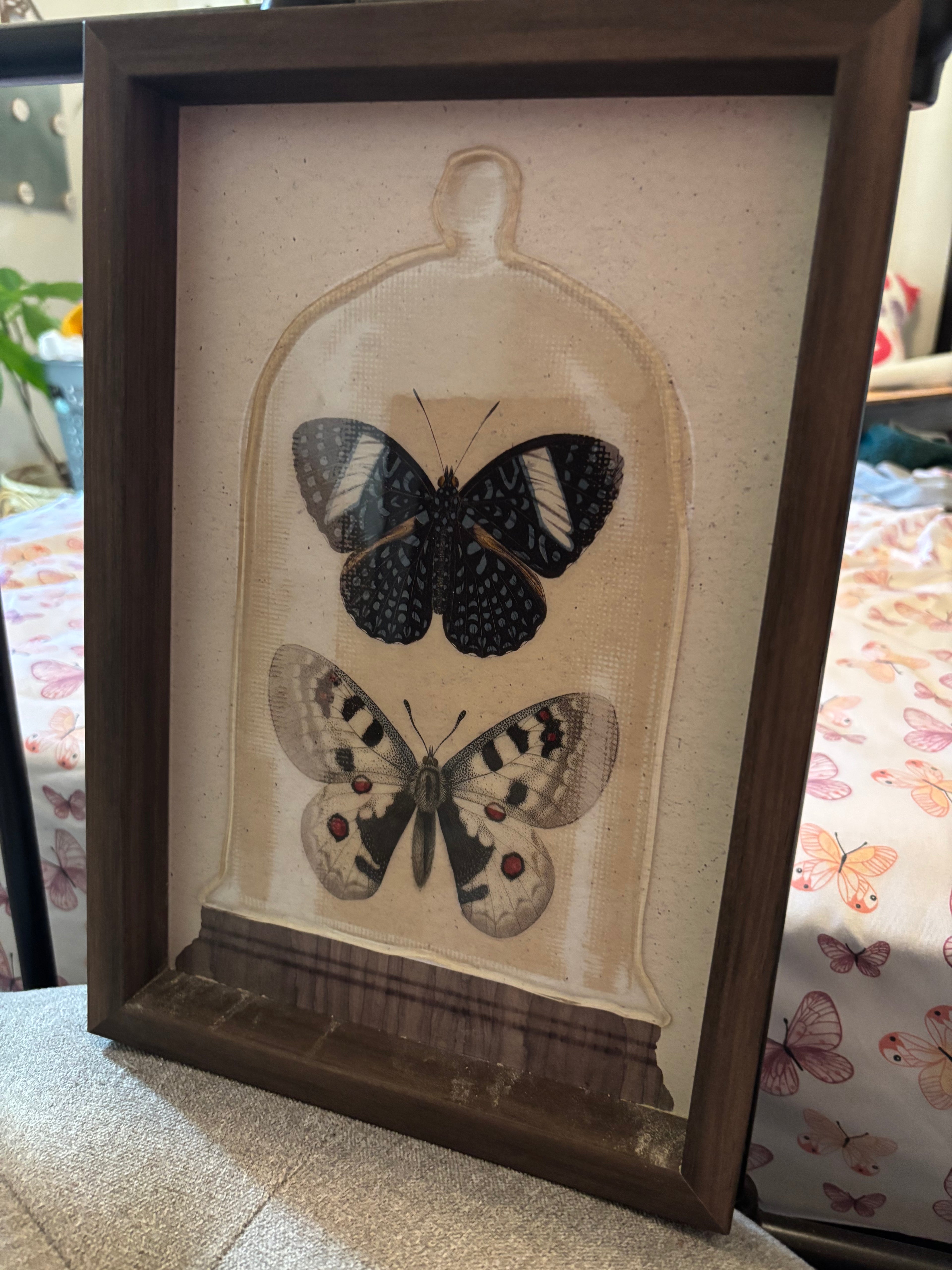 Framed Butterfly Art Print